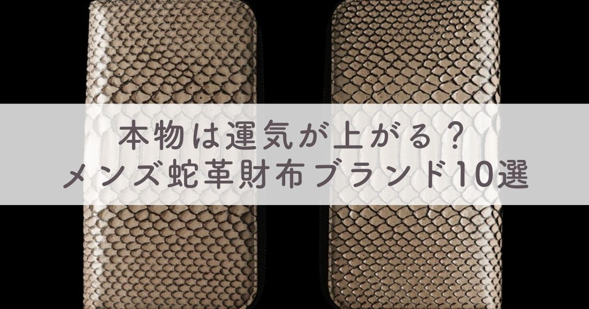 メンズ蛇革財布ブランド10選：スピリチュアルや風水に効果あり？【本物は運気が上がる？】